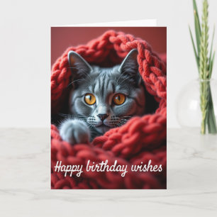 Verjaardagskaart Cozy Cat Kaart