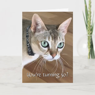 Verjaardagskaart Curious Cat 50 jaar Kaart