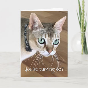 Verjaardagskaart Curious Cat 60ste verjaardag Kaart