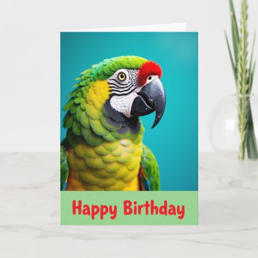 Verjaardagskaart Exotische Vogel Kaart (Voorkant)