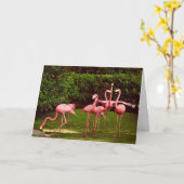 Verjaardagskaart Flamingo Kaart (Gele Bloem)