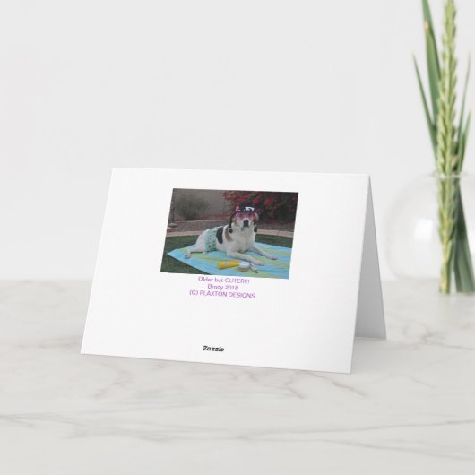 Verjaardagskaart, foto van een vrouw met crèmes kaart (Achterkant)