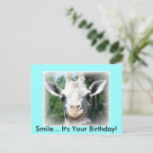 Verjaardagskaart giraffe briefkaart (Staand voorkant)
