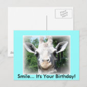 Verjaardagskaart giraffe briefkaart (Voorkant / Achterkant)