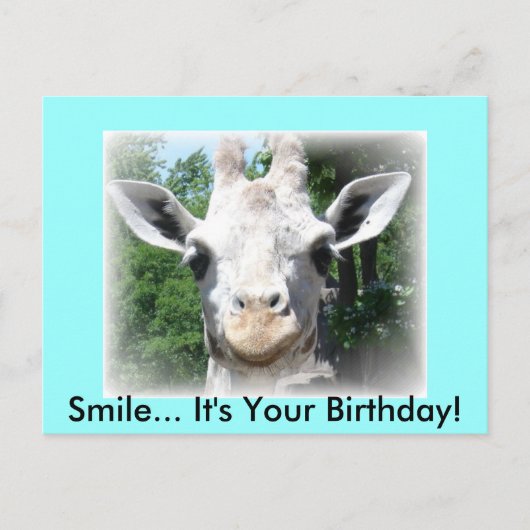 Verjaardagskaart giraffe briefkaart (Voorkant)