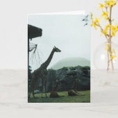 "Verjaardagskaart giraffen" Kaart (Gele Bloem)
