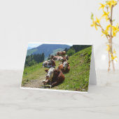 Verjaardagskaart Groep Koeien Kaart (Gele Bloem)