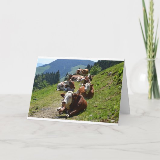 Verjaardagskaart Groep Koeien Kaart (Voorkant)
