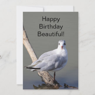 Verjaardagskaart 'Happy Birthday Beautiful' Duif Kaart