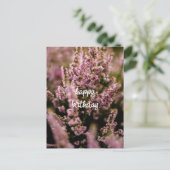 Verjaardagskaart heidebloemen foto briefkaart (Staand voorkant)