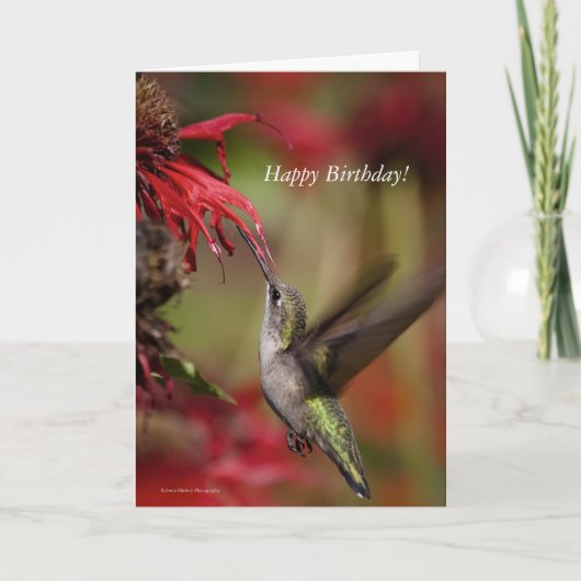 Verjaardagskaart Hummingbird Kaart (Voorkant)