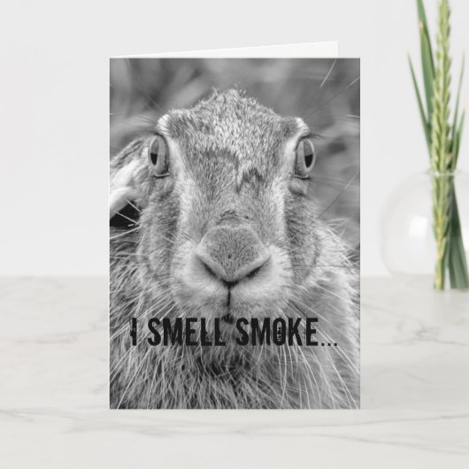 Verjaardagskaart humor Bunny zwart-wit foto Kaart (Voorkant)