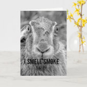 Verjaardagskaart humor Bunny zwart-wit foto Kaart (Gele Bloem)