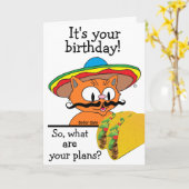 Verjaardagskaart Humoristische Cartoon Kat Tacos W Kaart (Gele Bloem)