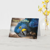 Verjaardagskaart Hyacint Macaw papegaaien Kaart (Gele Bloem)