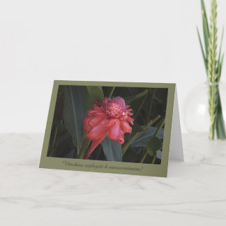 Verjaardagskaart in het Tsjechisch Kaart