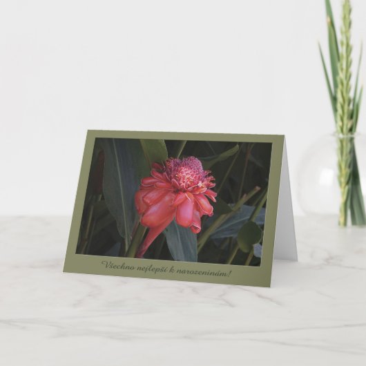 Verjaardagskaart in het Tsjechisch Kaart (Voorkant)