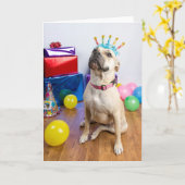 Verjaardagskaart Kaart (Gele Bloem)