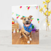 Verjaardagskaart Kaart (Gele Bloem)