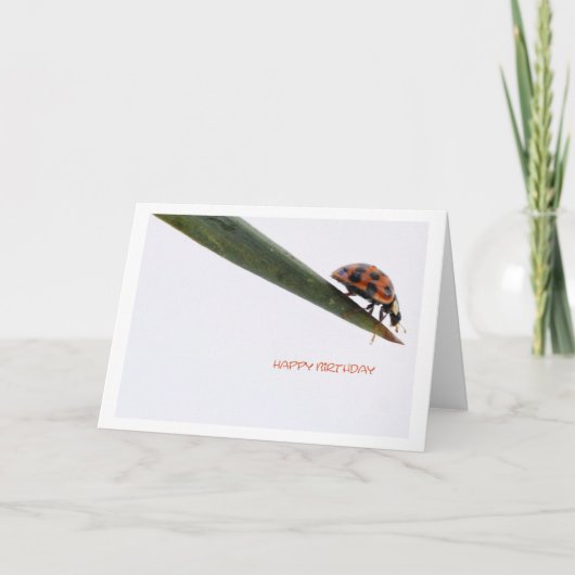 Verjaardagskaart Lieveheersbeestje Kaart (Voorkant)