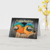 Verjaardagskaart Macaw papegaaien in vat Kaart (Gele Bloem)