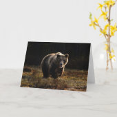 Verjaardagskaart met beer kaart (Gele Bloem)