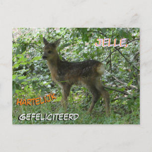 Verjaardagskaart met een Reekalfje in het Bos Briefkaart