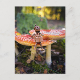 Verjaardagskaart met gelukkige Eikel Elf Briefkaart