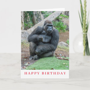Verjaardagskaart met gorilla in de dierentuin kaart