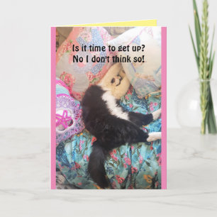 Verjaardagskaart met grappige slapende katten en e kaart