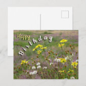 Verjaardagskaart met heide en witte en gele bloeme briefkaart (Voorkant / Achterkant)