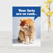 Verjaardagskaart met kat die neus vasthoudt vanweg kaart (Gele Bloem)