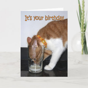 Verjaardagskaart met kat die uit glas drinkt kaart
