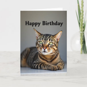 Verjaardagskaart met kat met groene ogen kaart