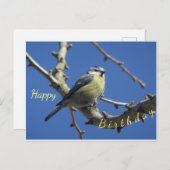 Verjaardagskaart met kleine vogel en blauwe lucht briefkaart (Voorkant / Achterkant)