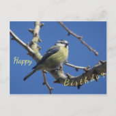 Verjaardagskaart met kleine vogel en blauwe lucht briefkaart (Voorkant)