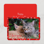 Verjaardagskaart met knappe kat kaart (Voorkant / Achterkant)