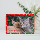 Verjaardagskaart met knappe kat kaart (Staand voorkant)