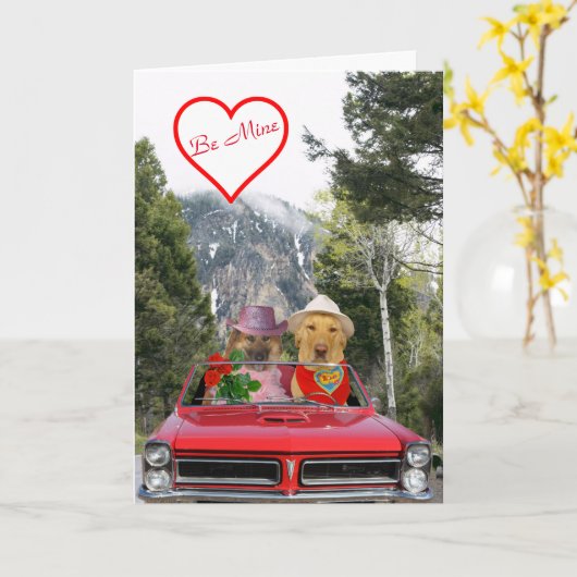 Verjaardagskaart met malle honden kaart (Gele Bloem)