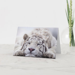 VERJAARDAGSKAART MET ONTSPANNEN WITTE TIJGER KAART