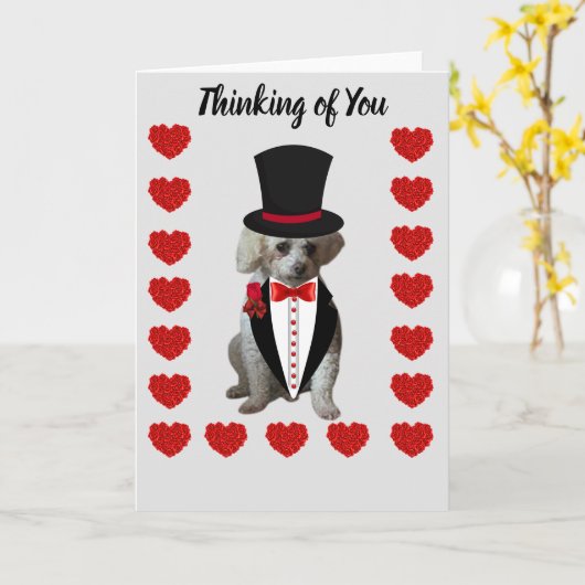 Verjaardagskaart met Poodle 'Denk aan Jou' Kaart (Gele Bloem)