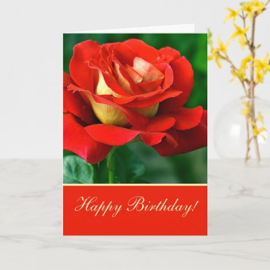 Verjaardagskaart met rode roos kaart (Gele Bloem)
