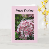 Verjaardagskaart met roze berglaurier kaart (Gele Bloem)