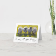 Verjaardagskaart met Schilderachtige Schapen