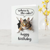 Verjaardagskaart met speelse tabby kat kaart (Gele Bloem)