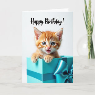 Verjaardagskaart met verrassende schattige kitten kaart