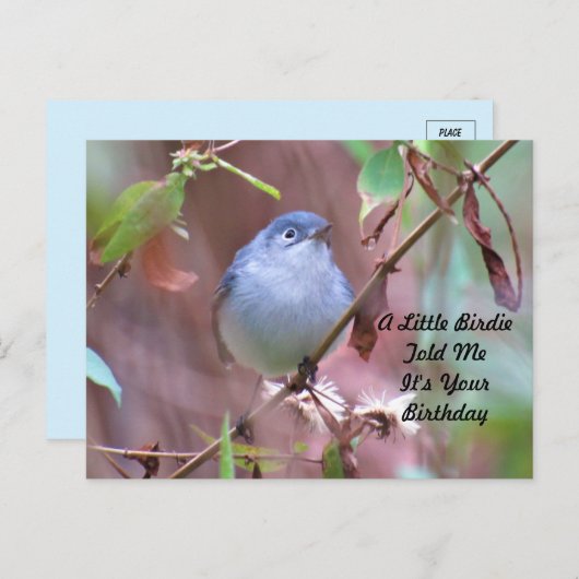 Verjaardagskaart met vogeltje briefkaart (Voorkant / Achterkant)