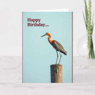 Verjaardagskaart met vrolijke vogel Genade Kaart