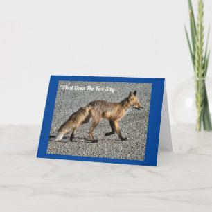 Verjaardagskaart Mr. Wild Fox Kaart