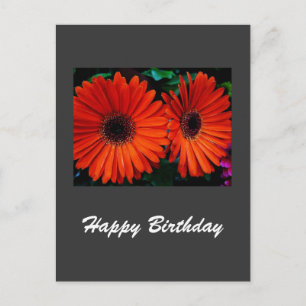 verjaardagskaart oranje kleur margriet bloemen briefkaart